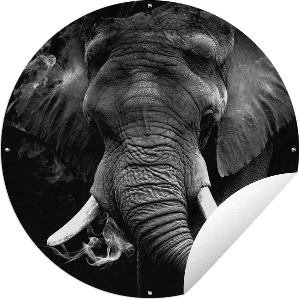 MuchoWow Gartenposter Outdoor-Poster Rund Elefant - Rauch - Zähne - Schwarz - Weiß Ø 150 cm Gartendeko Rundes Poster draußen