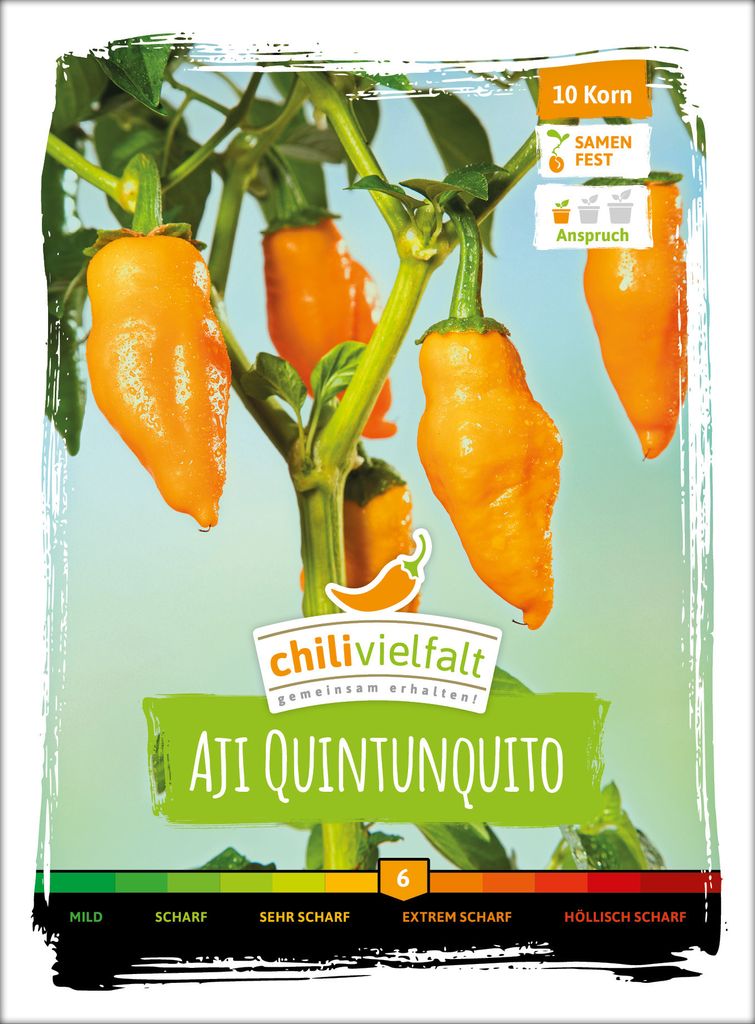Chili Aji Quintunquito | Chilisamen von Chilivielfalt, Einzelartikel / komplette VE:Einzelartikel