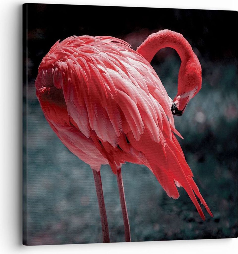 Bild auf Leinwand - Leinwandbild - Einteilig - Flamingo Produktbild 