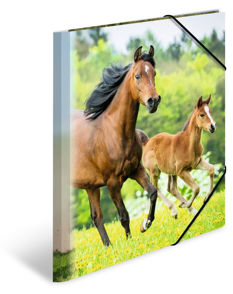 A4-Ordnerset mit Pferdemotiv, 3-teilig, Kunststoff-Kinderordner mit Eckverschluss und Tiermotiv, Gummibandverschluss, Innenklappen und bedruckter I...