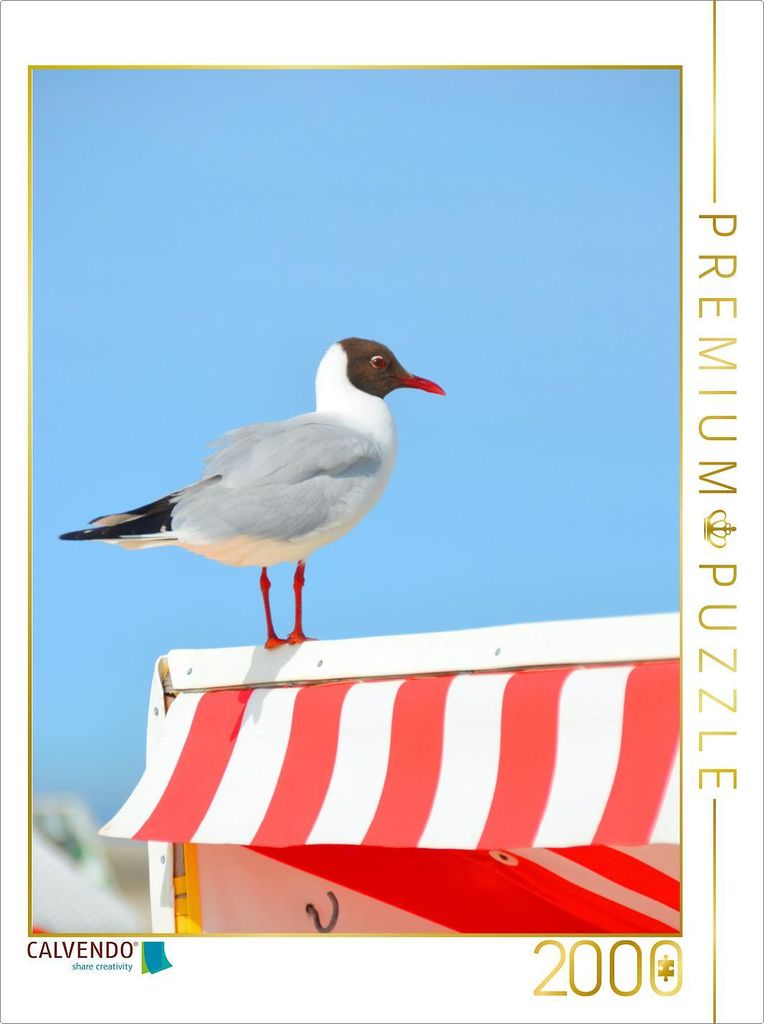 CALVENDO Puzzle Möwen 2000 Teile Puzzle hoch | 2000 Teile Lege-Größe 90x67cm Foto-Puzzle für glückliche Stunden