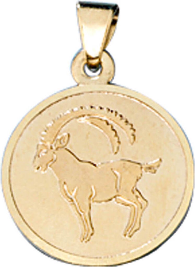 Steinbock Ketten Anhänger Goldanhänger 333 Gold rund Halsschmuck Uni