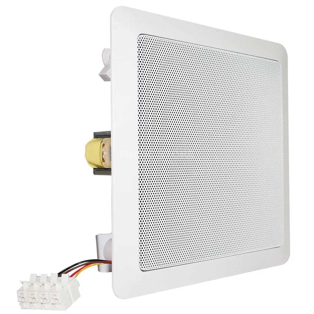 Haut-parleur Visaton 50154 : Solution Audio Discrète 100V et 8 Ohm - 2