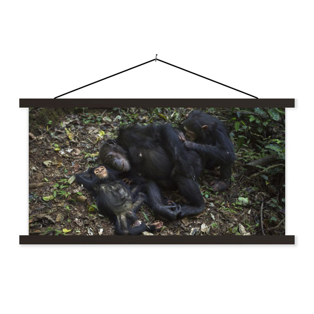 MuchoWow Textilposter Affen - Schlaf - Wald 60x30 cm mit schwarzem Rahmen - Textilien