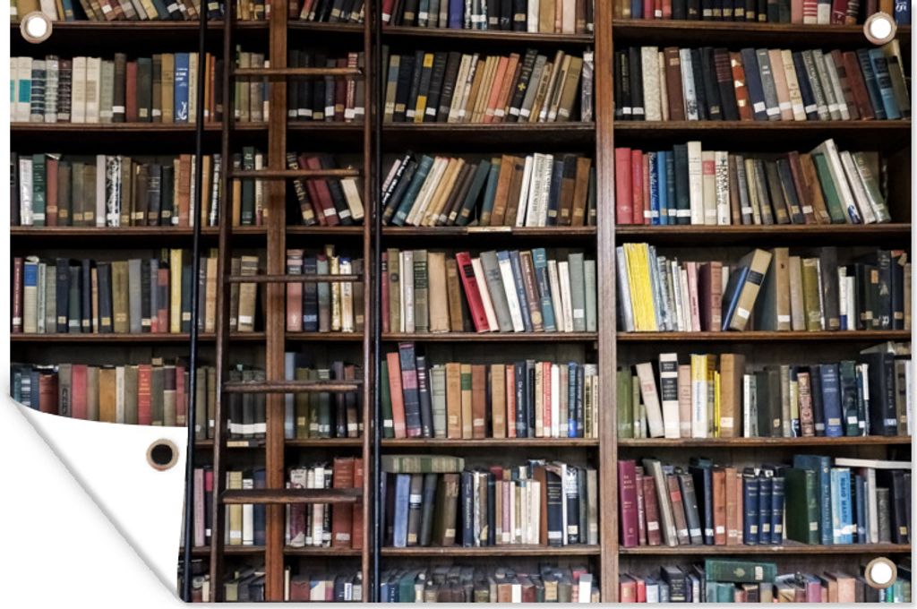 MuchoWow 90x60 cm Outdoor-Poster Gartendeko Sichtschutz Garten Poster für den Garten Leiter vor einem Bücherregal in der Bibliothek