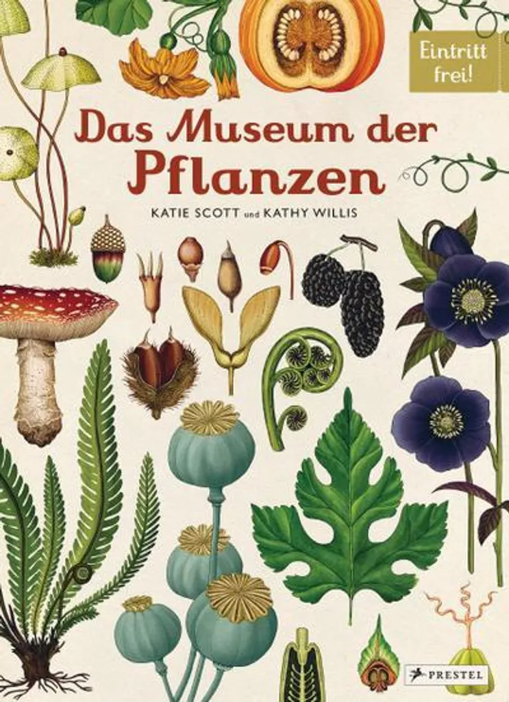Beau Livre de Botanique Das Museum der Pflanzen avec Planches Illustrées