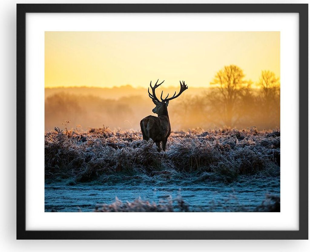 Gerahmtes Poster - Schwarzer Rahmen - Feld Nebel Natur Baum - 50x40 cm - Wand Bild - Wanddeko - Wandbilder - Kunstposter - Wandposter - Bilderrahme...
