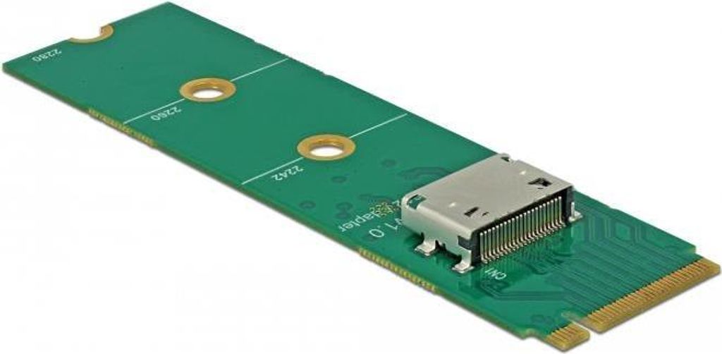 DELOCK M.2 Key M zu 1 x OCuLink SFF-8612 Konverter
