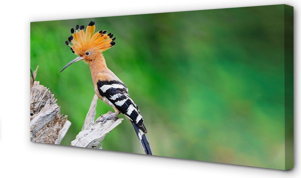 Leinwandbild 120x60 Wandkunst Baum bunter Papagei