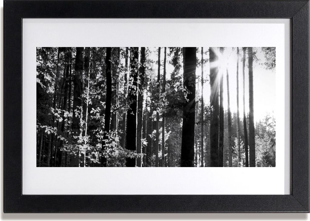 Bild 30x20 MDF-Rahmen Wandkunst Natur Wald Bäume