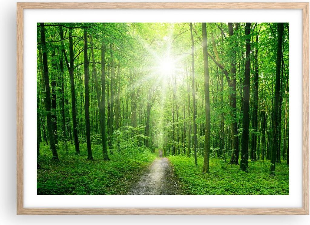 Gerahmtes Poster - Rahmen in heller Eiche - Sonnenstrahlen Wald Sommer - 70x50 cm - Wand Bild - Wanddeko - Wandbilder - Wandposter - Bilderrahmen -...