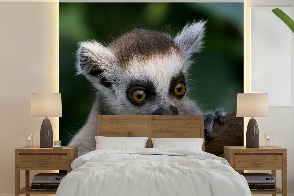 MuchoWow Fototapete für Wohnzimmer oder Schlafzimmer Wandtapete Vinyl Motivtapete Tier - Zweig - Ringschwanzlemur - 350x350 cm - Schlafzimmertapete