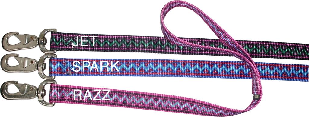 Hundeleine Electra Choice mit Handschlaufe und Drehkarabiner aus starkem Nylon 2,5 cm breit, 120 cm lang in Razz