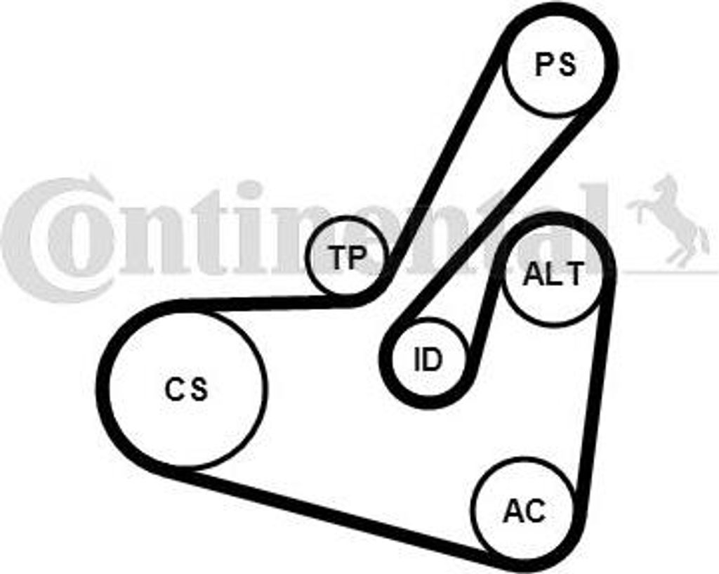 CONTINENTAL CTAM 6PK1750K1 Keilrippenriemensatz OE kompatibel mit Kangoo, Clio, Partner, 806, 406, 306, Zeta, Ulysse, Xsara, Xantia, Evasion, C5, ...