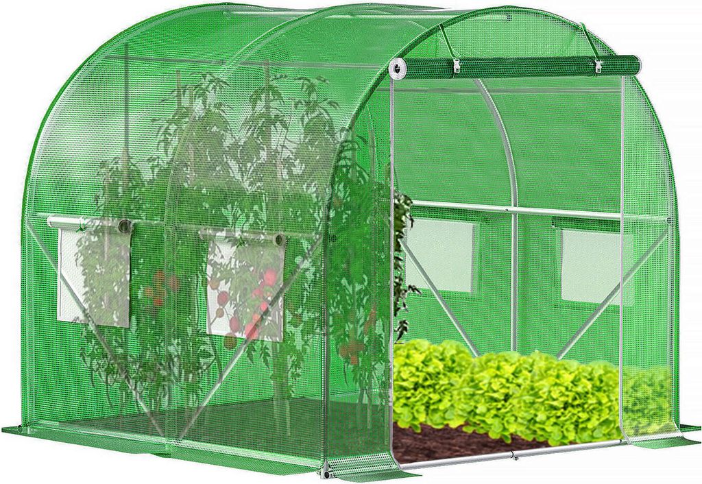 A green arched greenhouse with plants inside, including tomatoes and lettuce.