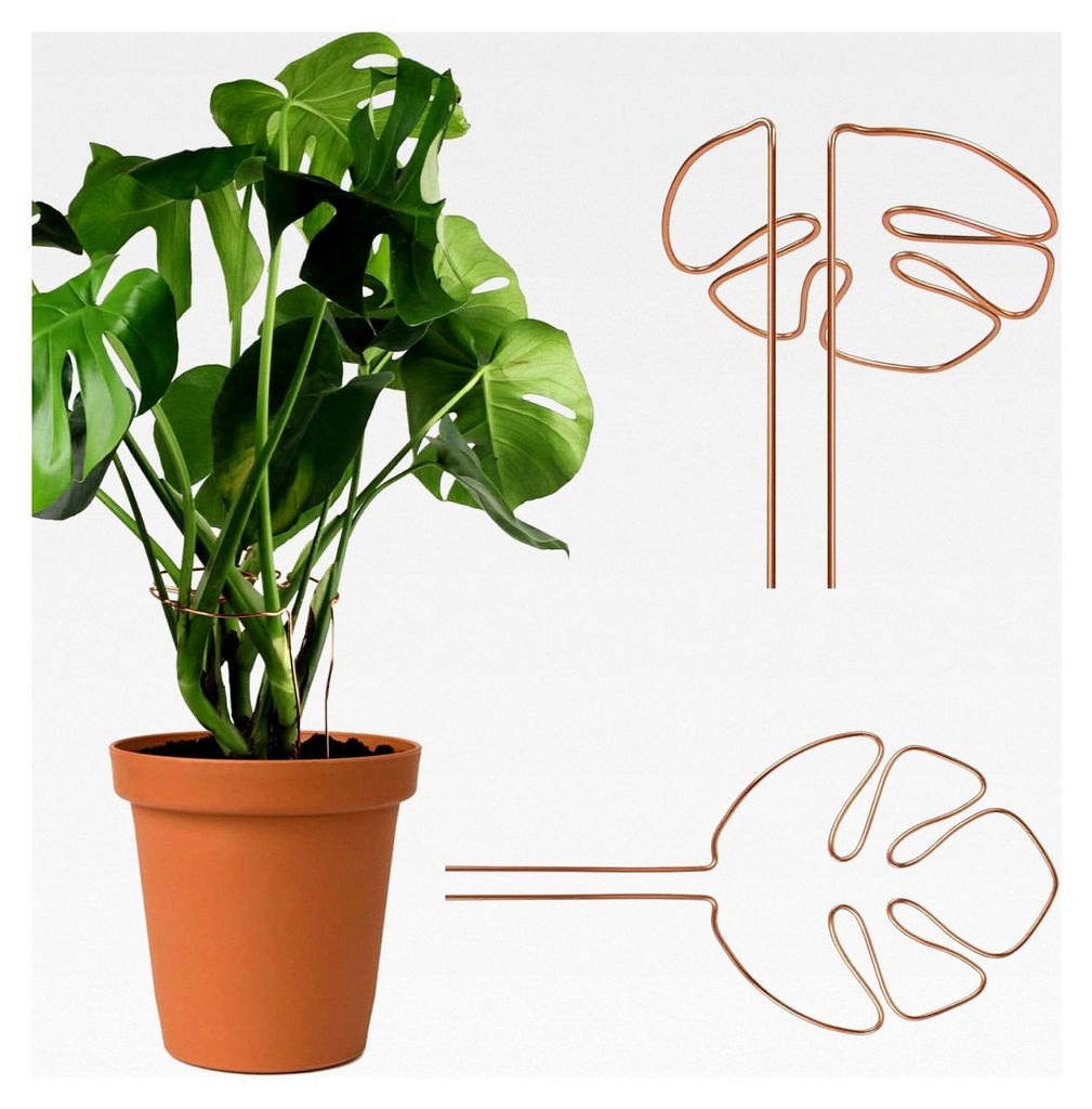 Pflanzenstütze 2er Set, Aluminium mit einzigartigem Blattdesign für Zimmerpflanzen, vielseitige Stängelstütze für Alocasia und Monstera, dekor...