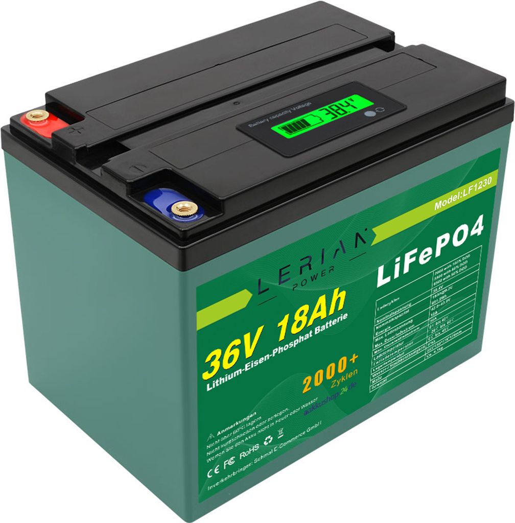 LiFePO4 Akku 36V 18Ah 30A 648Wh Lithium-Eisen-Phosphat Batterie für Modellbau Camping Boot