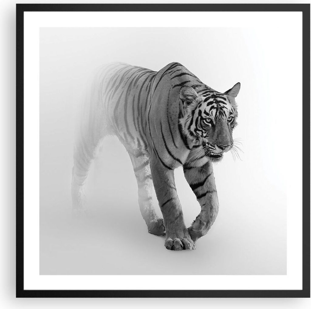 Gerahmtes Poster - Schwarzer Rahmen - Tiger Monochrom Porträt - 60x60 cm - Wand Bild - Wanddeko - Wandbilder - Kunstposter - Wandposter - Bilderra...