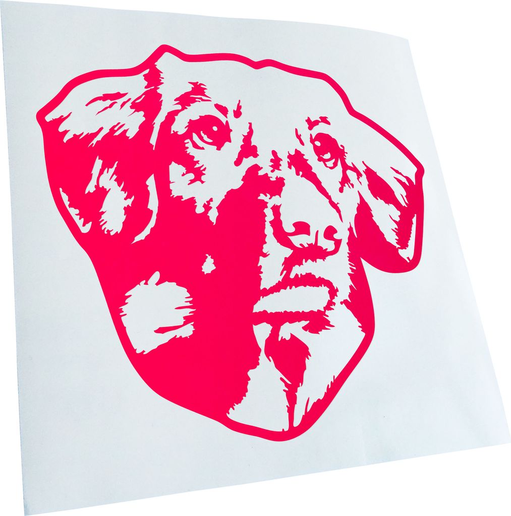 Kiwistar - Autoaufkleber - Nova scotia duck trolling retriever - Neonpink - 30x27cm - Aufkleber für Auto, Laptop, Fahrrad, LKW, Motorrad mehrfarbi...