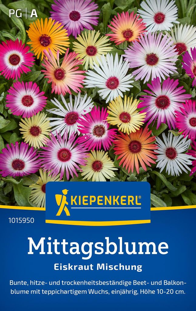 Kiepenkerl - Mittagsblume Eiskraut Mischung Samen - 1015950