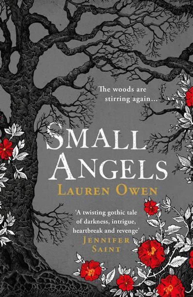 Small Angels: ́A twisting gothic tale of darkness, intrigue, heartbreak and revenge ́ Jennifer Saint (Owen Lauren)