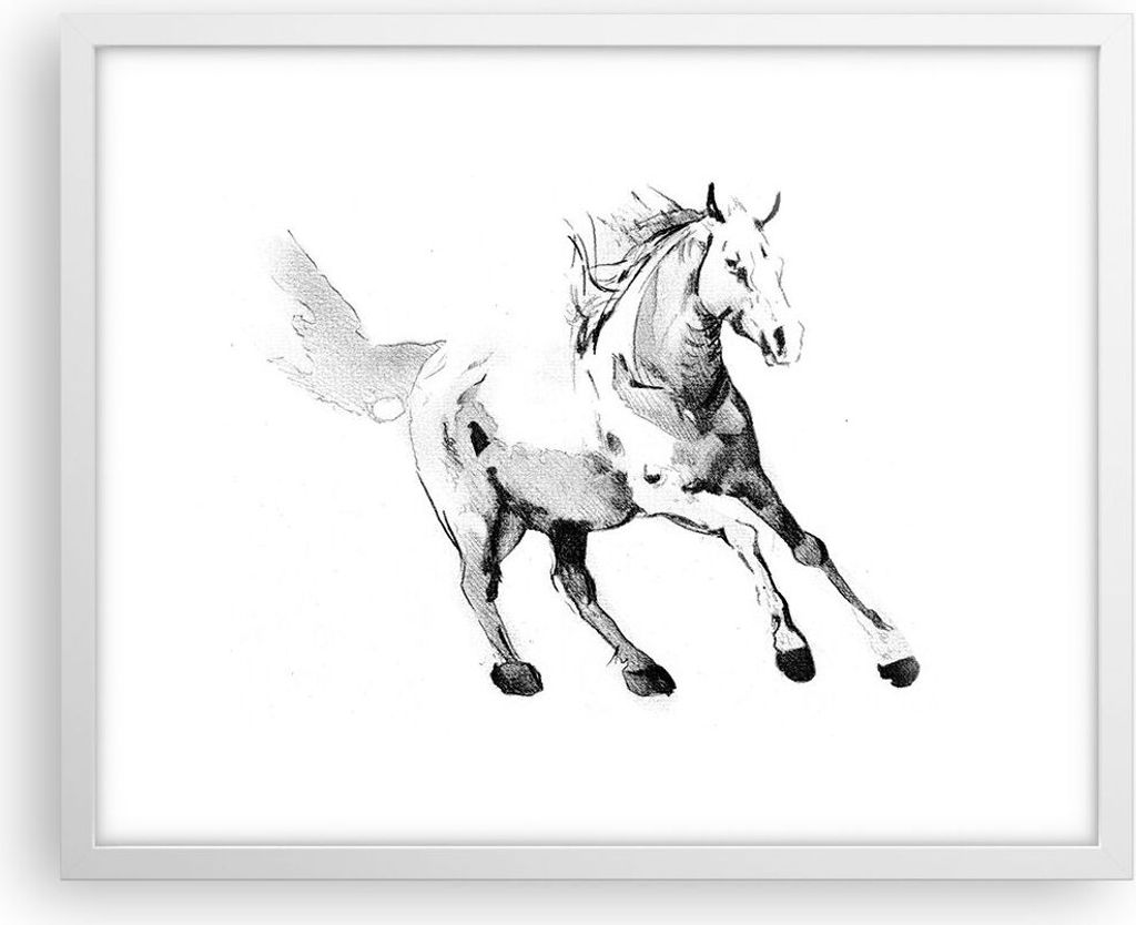 Gerahmtes Poster - Weißer Rahmen - Pferd Galopp Tier - 50x40 cm - Wand Bild - Wanddeko - Wandbilder - Kunstposter - Wandposter - Bilderrahmen - Bi...