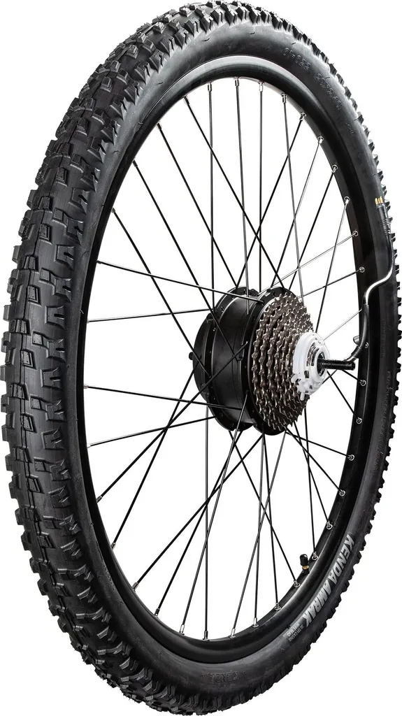 Pack Roue Arrière 29 Pouces pour Remplacement Moteur de VAE Remington