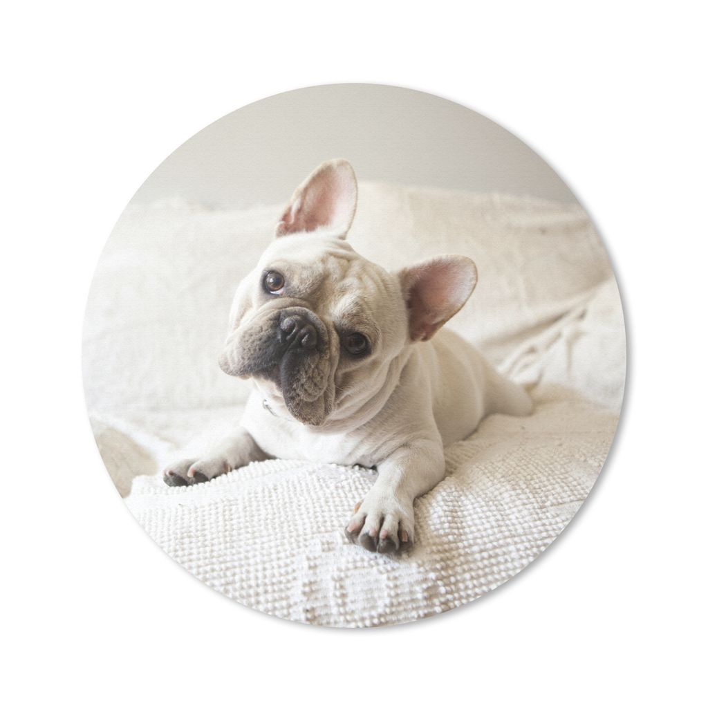 MuchoWow Mauspad Mousepad Französische Bulldogge - Bank - Vorleger 30x30 cm - Mousepads - Maus Mat - Pad - Mausunterlage - Tischunterlage - Schr...