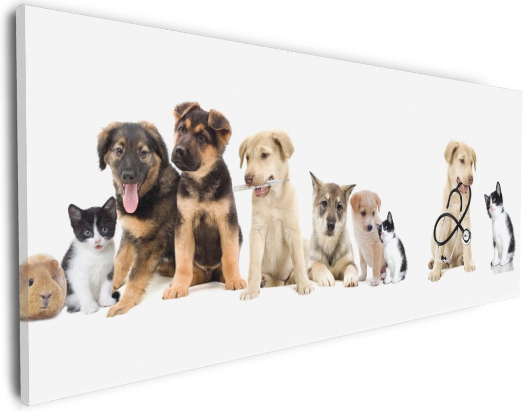Wallario Premium Leinwandbild Süße Haustiere - Katzen Hunde Hamster Küken I in Größe 30 x 75 cm