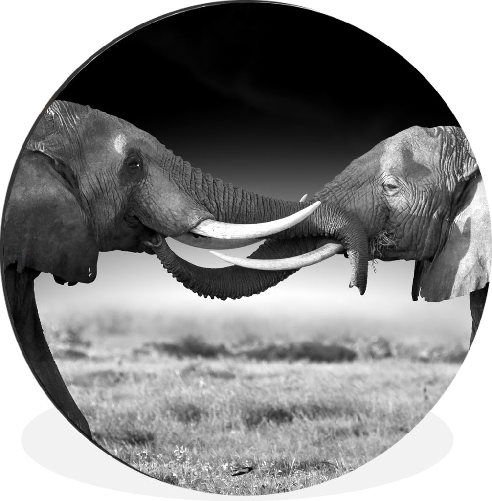 MuchoWow Aluminium Wandkreis Elefant - Tiere - Schwarz und weiß - Porträt - Landschaft Ø 90 cm Wanddeko Modern Wohnzimmer - Mauerkreis - Wandb...