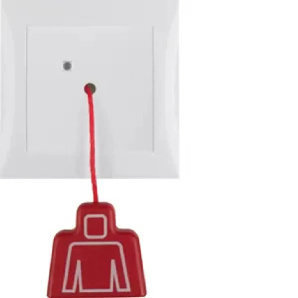 Interrupteur à Tirette de Sécurité Berker 52028989 Blanc Brillant Pro