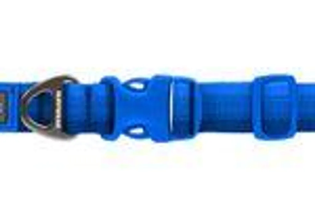 Collier de tous les jours Ruffwear Front Range™ pour petits et grands chiens