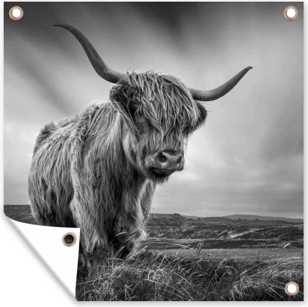 MuchoWow 50x50 cm Outdoor-Poster Gartendeko Sichtschutz Garten Poster für den Garten Kühe - Schottische Hochlandkühe - Natur - Tiere - Schwar...