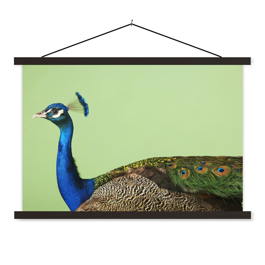 MuchoWow Textilposter Pfau - Vogel - Federn 120x80 cm mit schwarzem Rahmen - Wanddeko