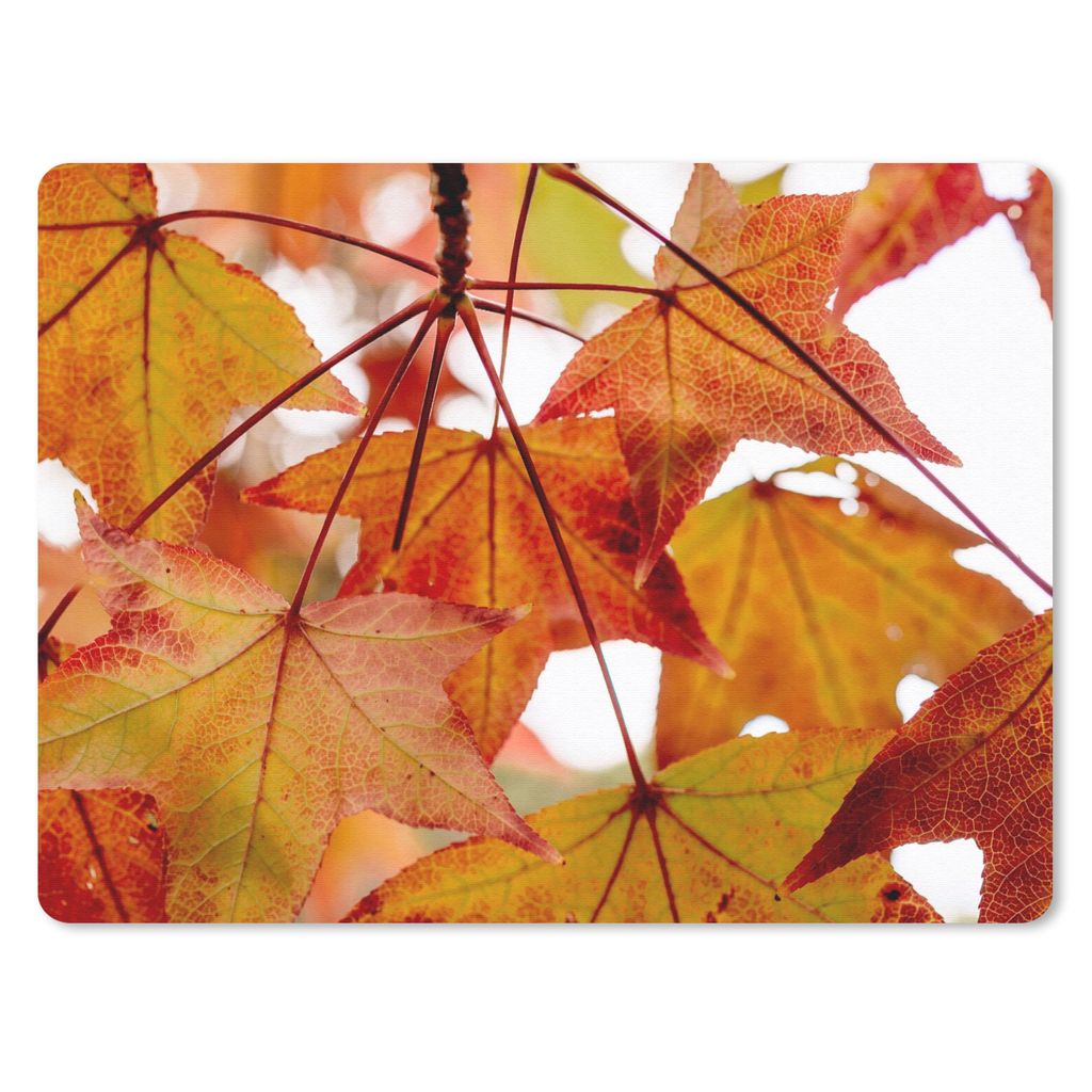 MuchoWow Mauspad Mousepad Herbstzweige - Blätter - Jahreszeiten - Landleben 23x19 cm - Mousepads - Maus Mat - Pad - Mausunterlage - Schreibtisch...