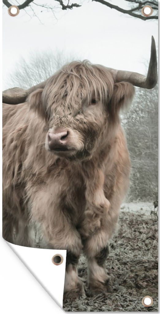 MuchoWow 40x80 cm Outdoor-Poster Gartendeko Sichtschutz Garten Poster für den Garten Schottischer Highlander - Wald - Nebel - Kuh - Tiere - Natur