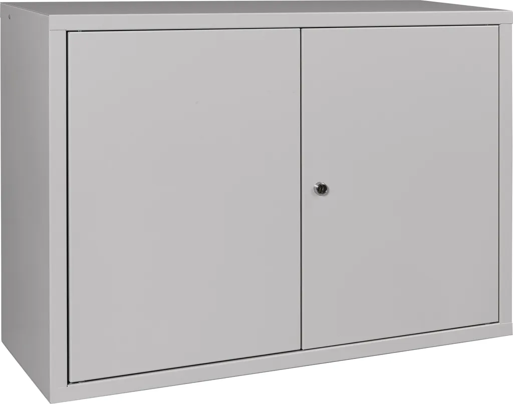 Armoire suspendue H600xL800xP300mm en tôle acier gris clair robuste