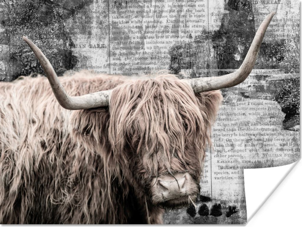 MuchoWow Poster Schottischer Highlander - Vintage - Briefe 40x30 cm - Plakate für die Wände - Poster Wohnzimmer