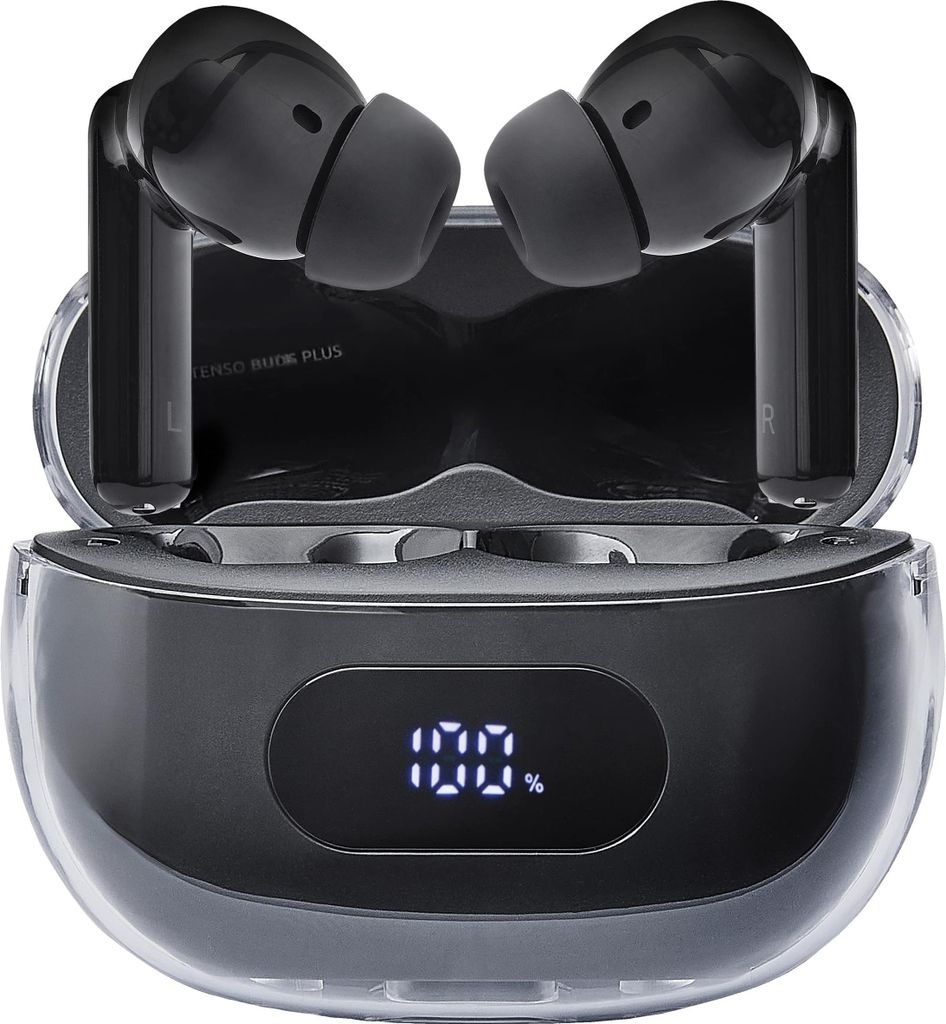 Intenso Buds / Earphone Plus T310Ae Black Produktbild 