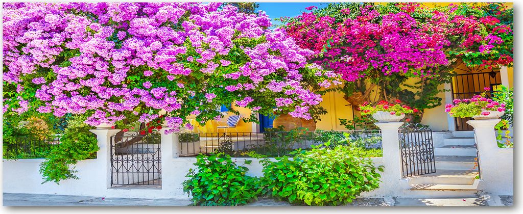 Tulup Leinwandbild - 125x50 cm - Wandkunst - Drucke auf Leinwand - Leinwanddruck - Blumen & Pflanzen - Lila - Bougainvillea