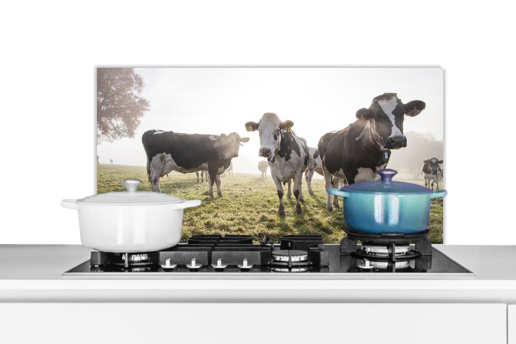 KitchenYeah Spritzschutz Küche - Küchenrückwand - Wandschutz für Herd und Spüle - Kühe - Licht - Gras - Tiere 90x45 - Alu-Dibond (Alternati...