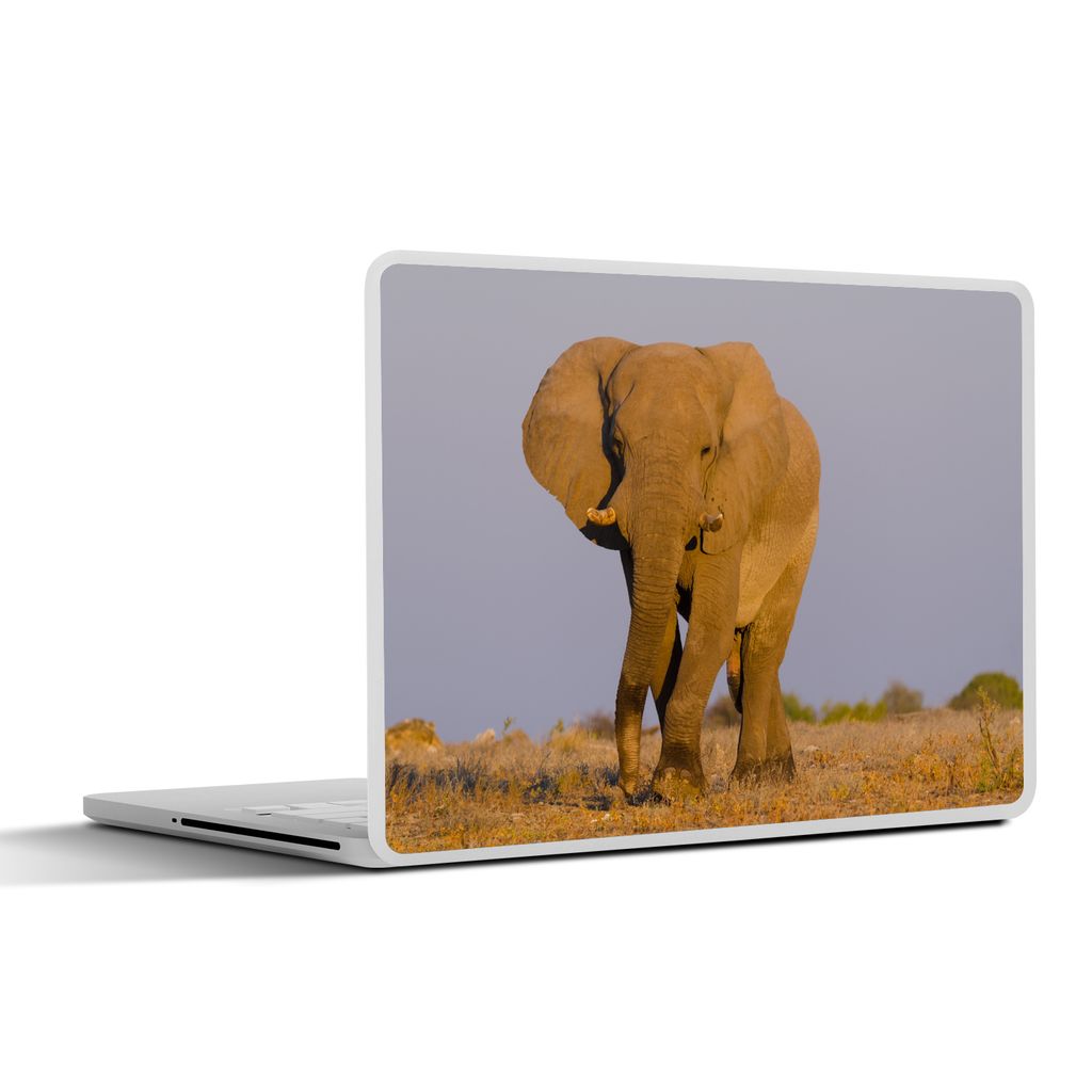 MuchoWow Laptop Aufkleber Sticker Cover Afrikanischer Elefant im Sand 32.5x23.5 cm - Sticker für Laptop - Selbstklebend