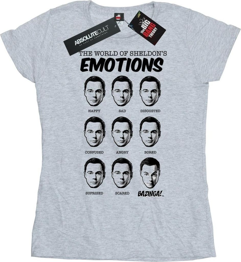 The Big Bang Theory - T-Shirt für Damen BI9654 (L) (Grau)