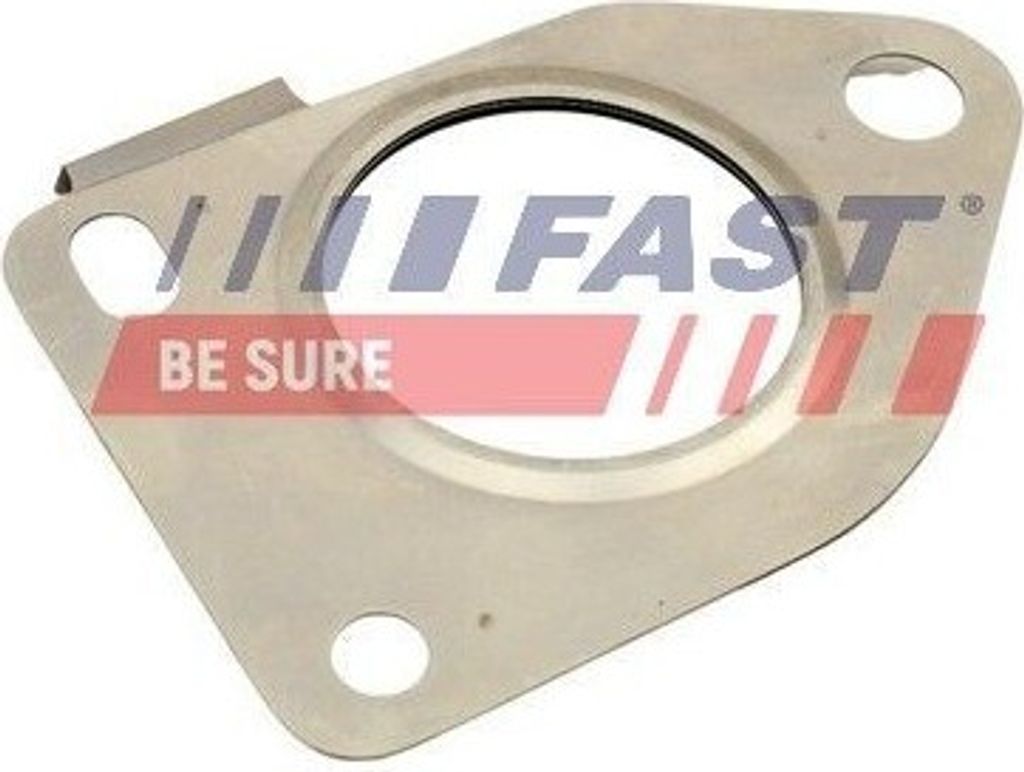 FAST Turbolader-Dichtung Ölauslass für RENAULT MASTER III Kasten (FV) MEGANE III Grandtour (KZ0/1) Scénic III (JZ0/1) Megane III Schrägheck (BZ...