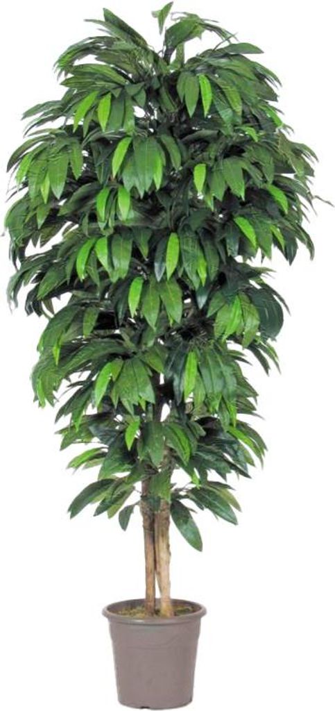 artplants.de Unechte Mango MAWUWANI, Echtstämme, grün, crossdoor, 150cm - Italy - Mangobaum Kunstpflanze