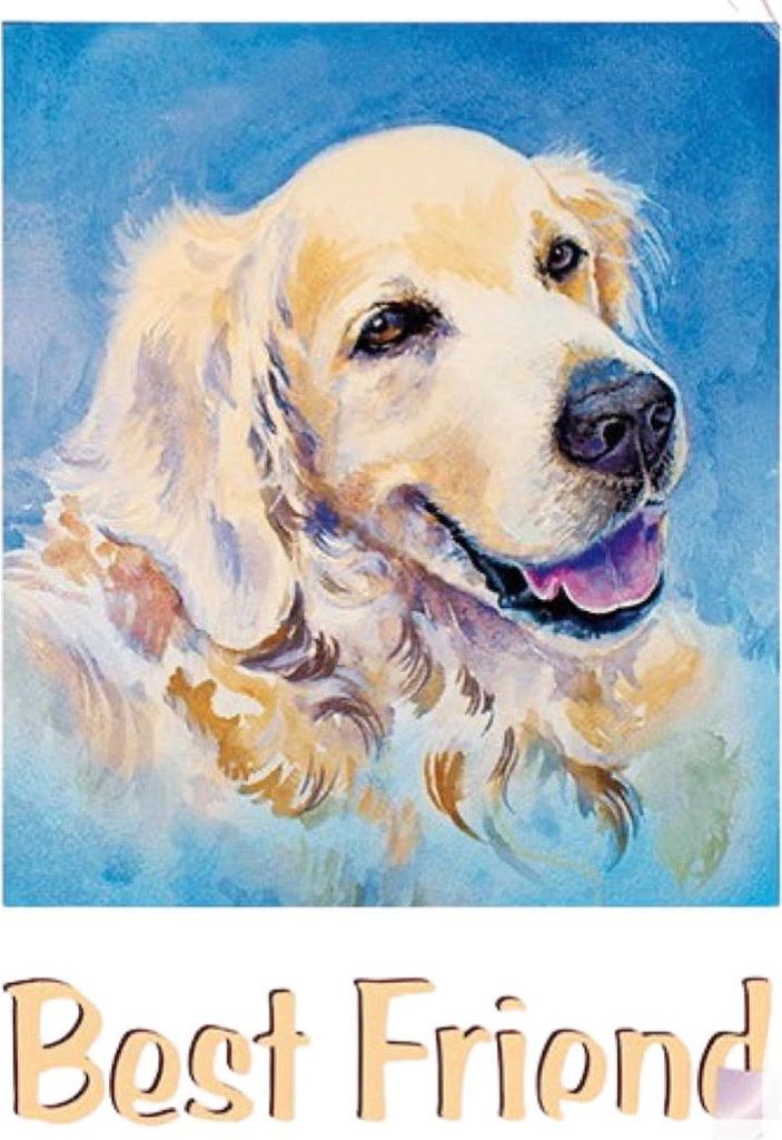 Golden Retriever Best Friend Text-Aufbügelapplikation