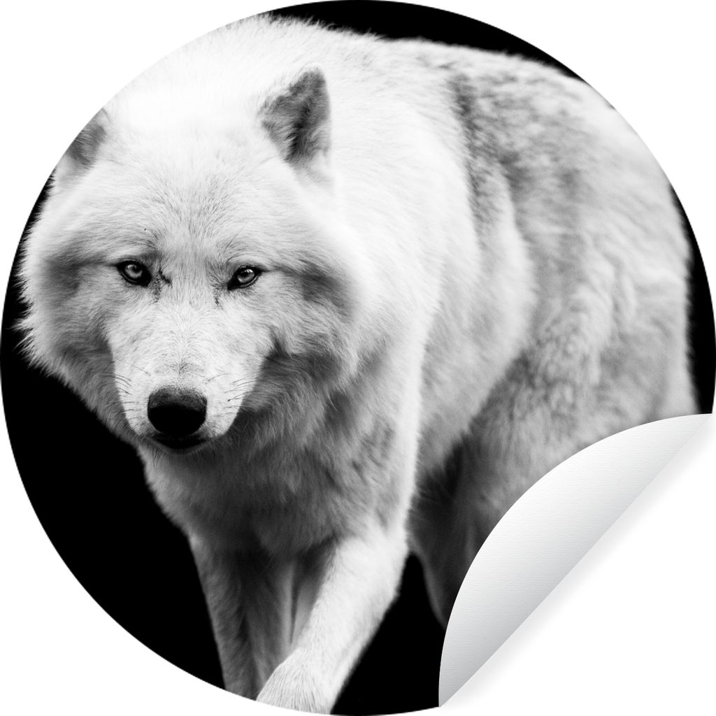 MuchoWow Runde Wandtattoo - Wandsticker Tapete Aufkleber Wolf - Tier - Schwarz - Weiß Ø 50 cm Selbstklebend und Repositionierbar - Wandaufklebe...