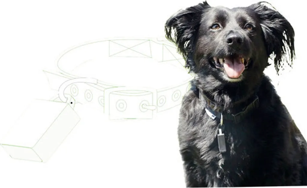 TechLine Kit AMICO: Sicurezza IoT Bluetooth per Animali e Robot - 3