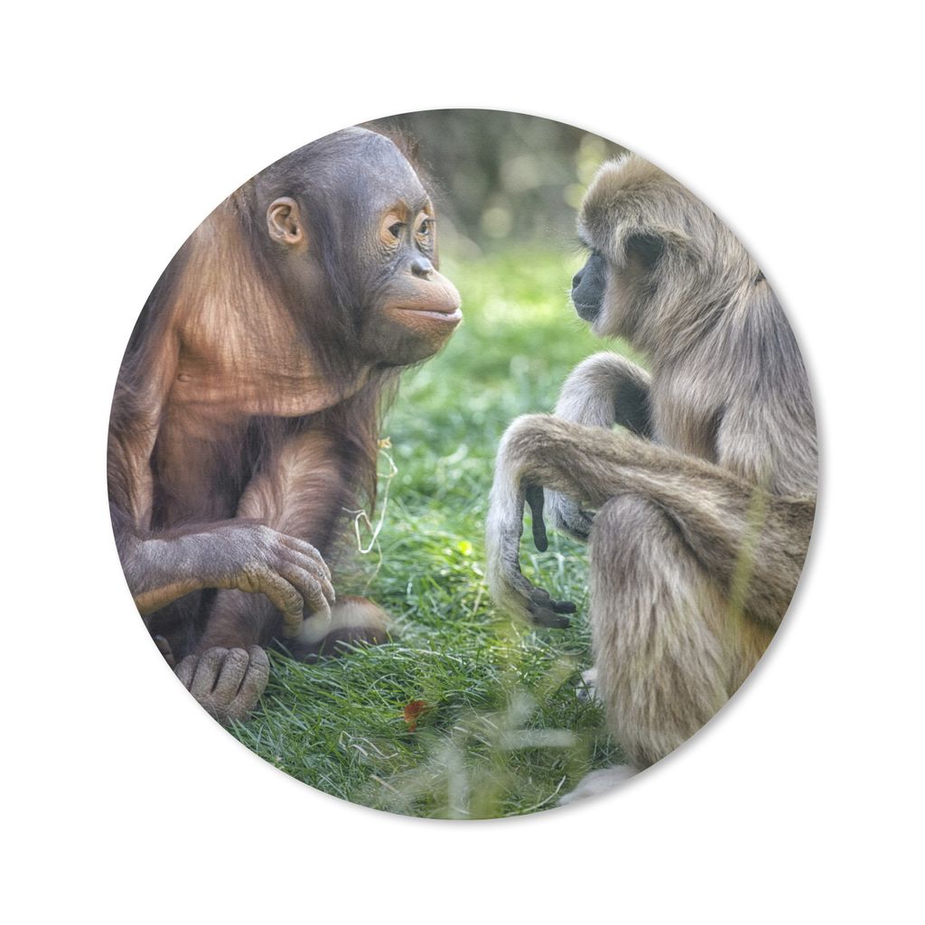 MuchoWow Mauspad Mousepad Affen - Tiere - Familie 30x30 cm - Mousepads - Maus Mat - Pad - Mausunterlage - Tischunterlage - Schreibtischmatten