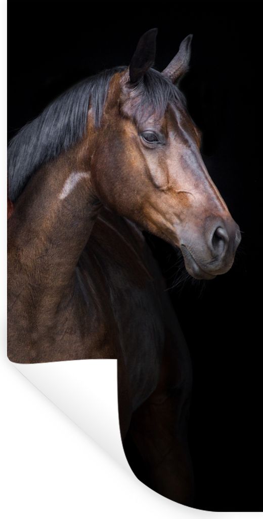 MuchoWow Wandtattoo Wandsticker Wandaufkleber Pferde - Tiere - Porträt - Braun 60x120 cm Selbstklebend und Repositionierbar - Selbstklebend - Fo...